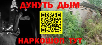 индика Нягань