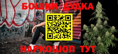 индика Нягань